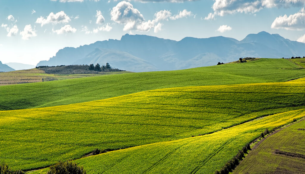 Green economy e Green communities in montagna e nei territori rurali