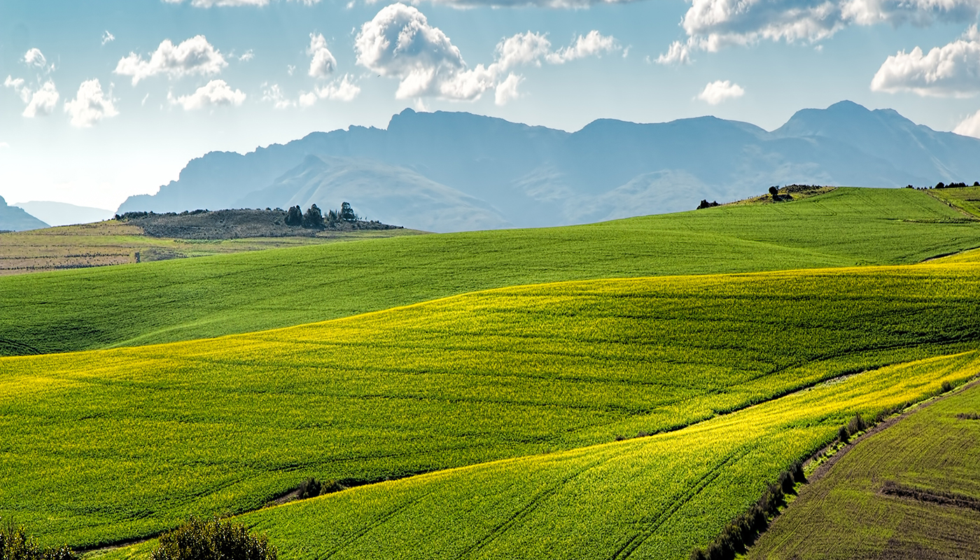 Agricoltura, alimentazione e sostenibilità