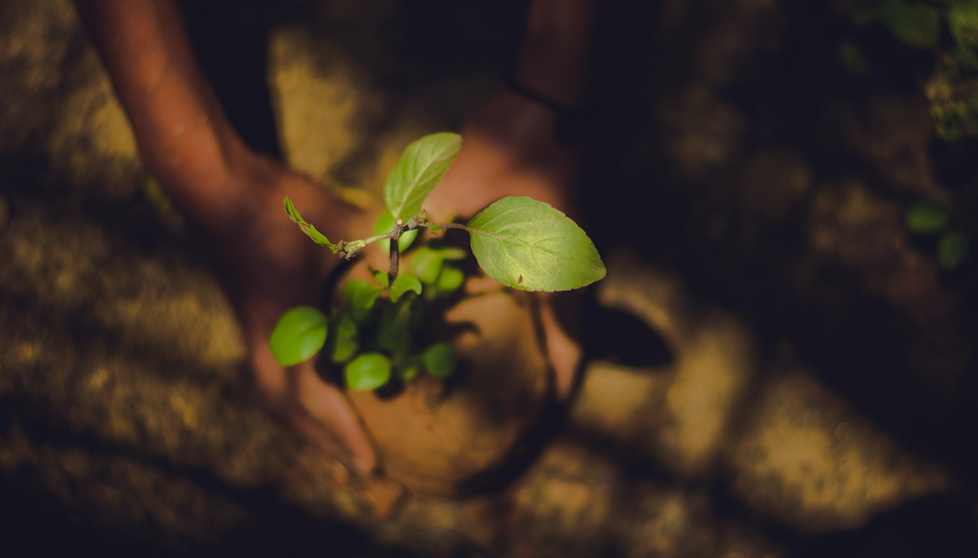 Agricoltura biologica e biodinamica